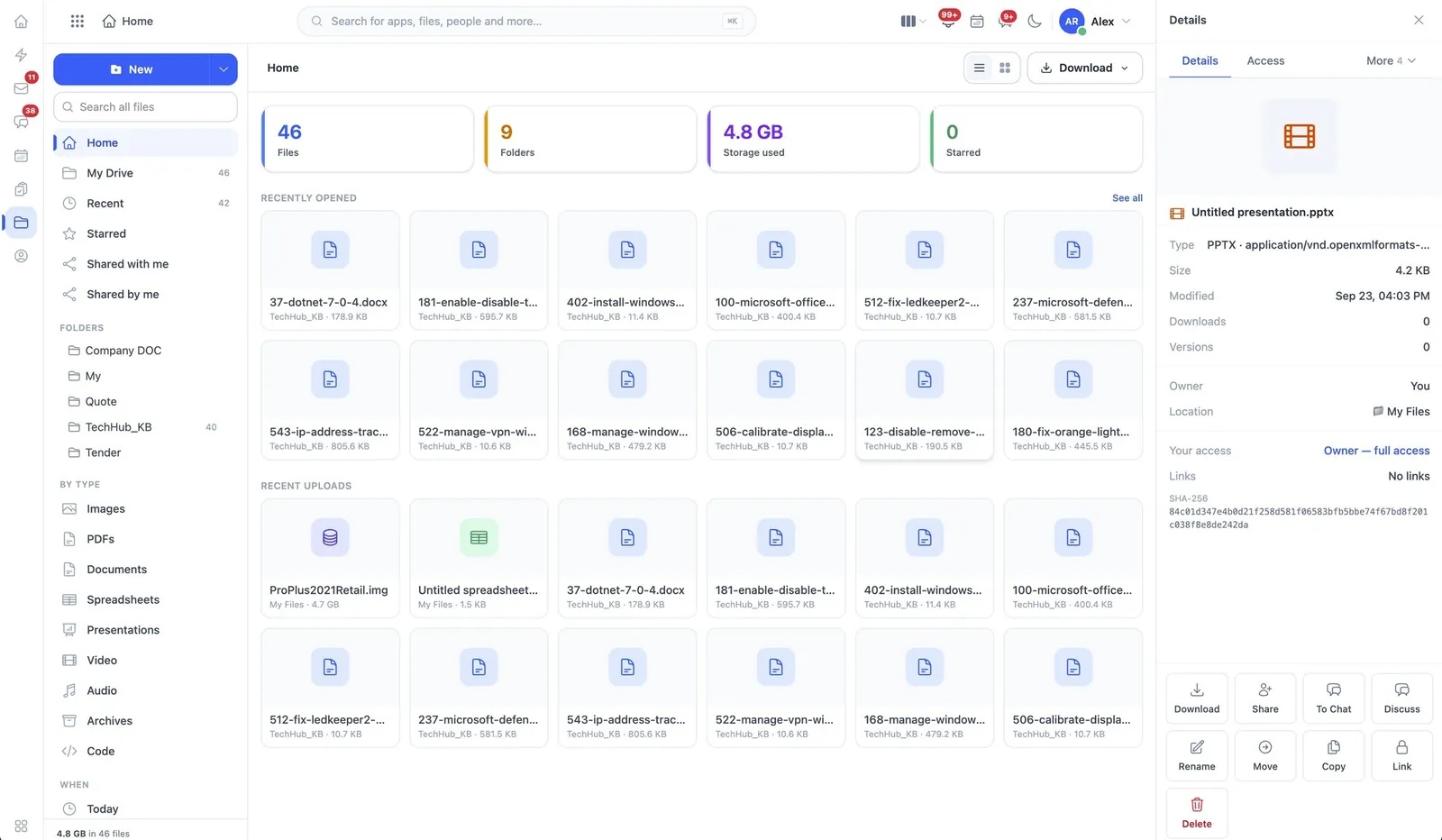 The WorkSuite Drive details panel, showing owner, access and versions for a file